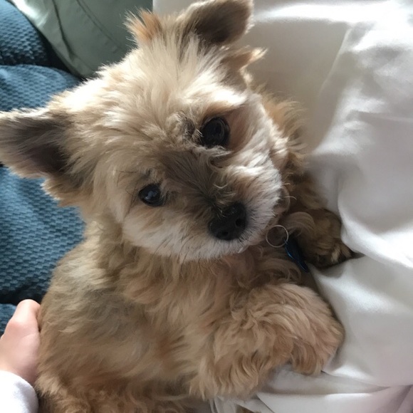 Meet your Posher, Jordan - Picture 2 of 2